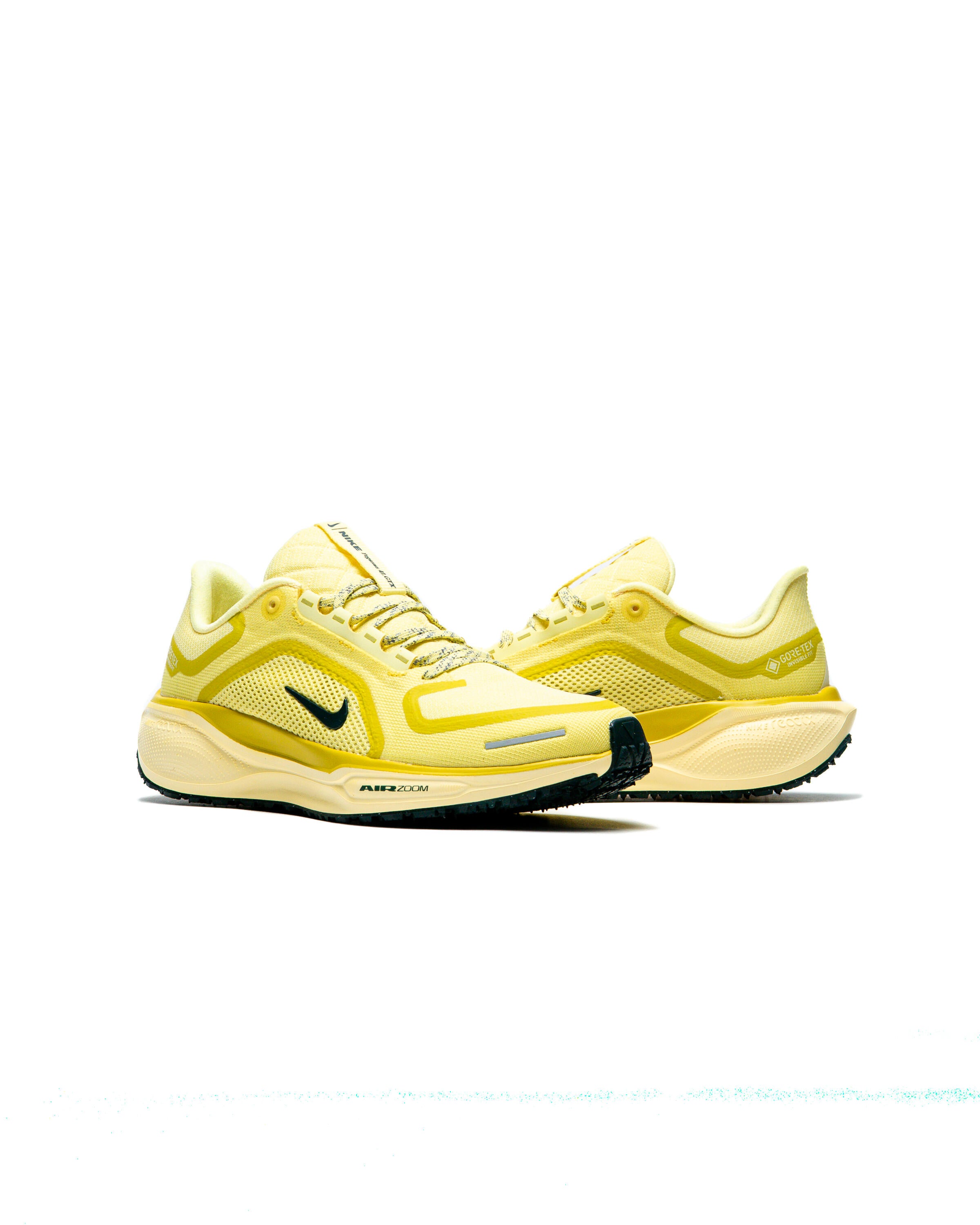Nike Air Pegasus 41