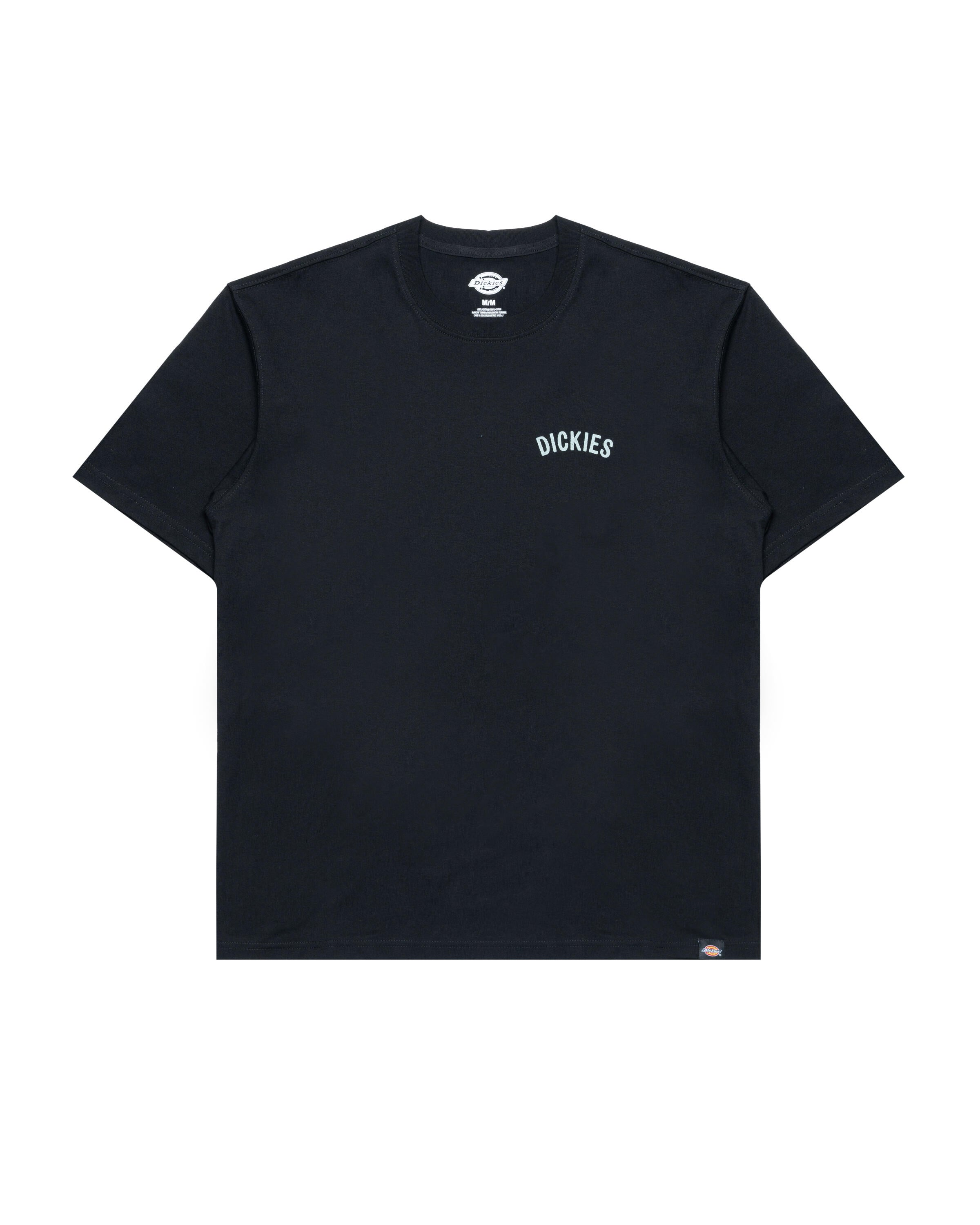 Tシャツ・カットソー DICKIES Men T-shirt Black DK0A4Z99 BLK1 Dickies SNAKE SS TEE | DK0A4Z99BLK1 | AFEW STORE