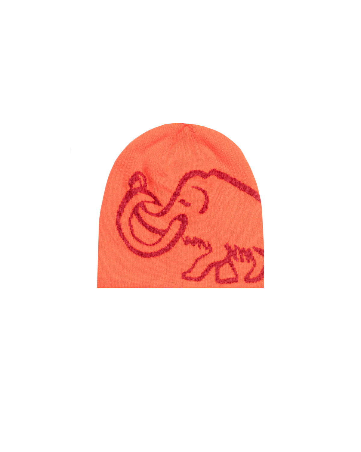 MAMMUT Reversible Logo Beanie
