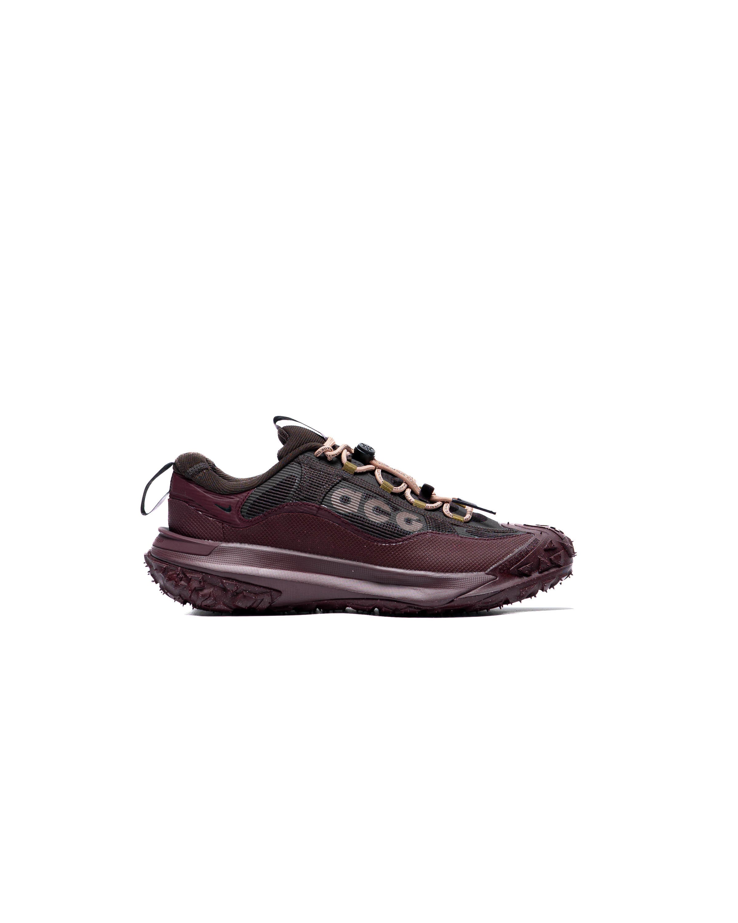 Nike ACG Hits the Mountain Fly 2 Low with GORE-TEX