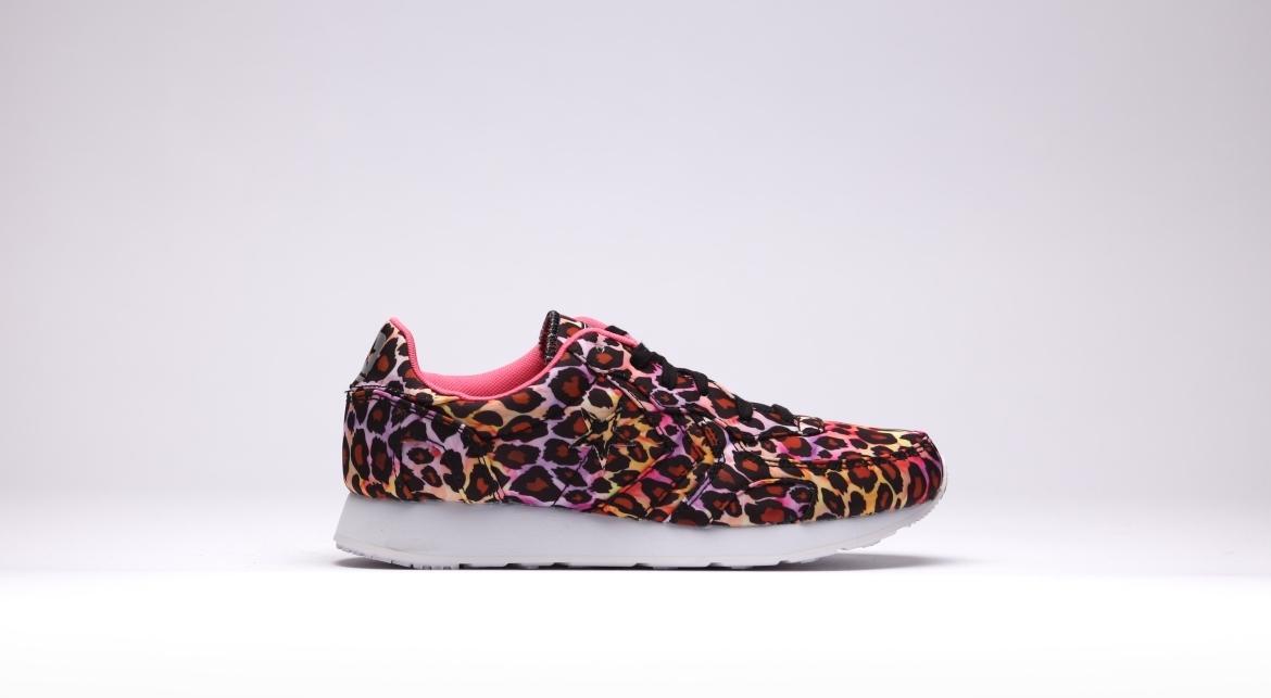 Converse CONS Auckland Racer OX Animal Leo