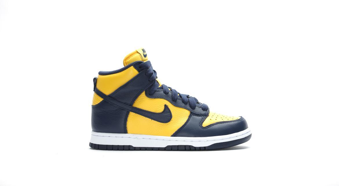 Nike Wmns Dunk Retro QS