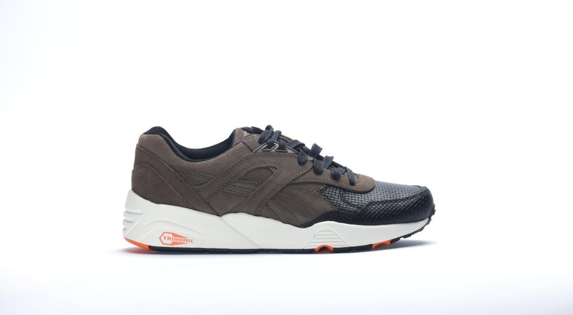 Puma R698 GRID Q4 "Cub"